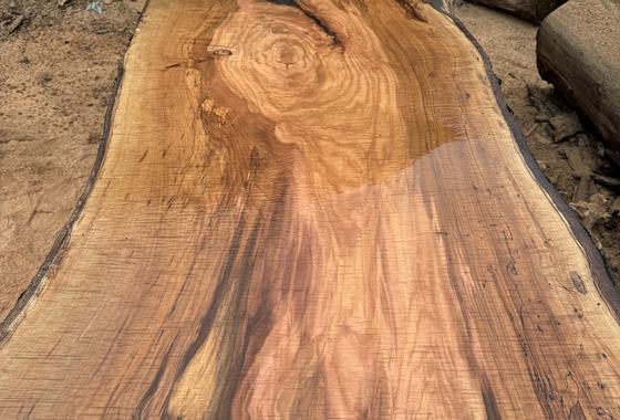 Warm rotbraune Bohle mit geflammter Maserung